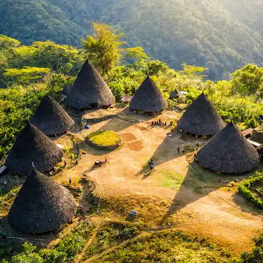 Traditional cone-shaped houses in Wae Rebo Traditional Village surrounded by green mountains and natural landscape in Flores, Indonesia.