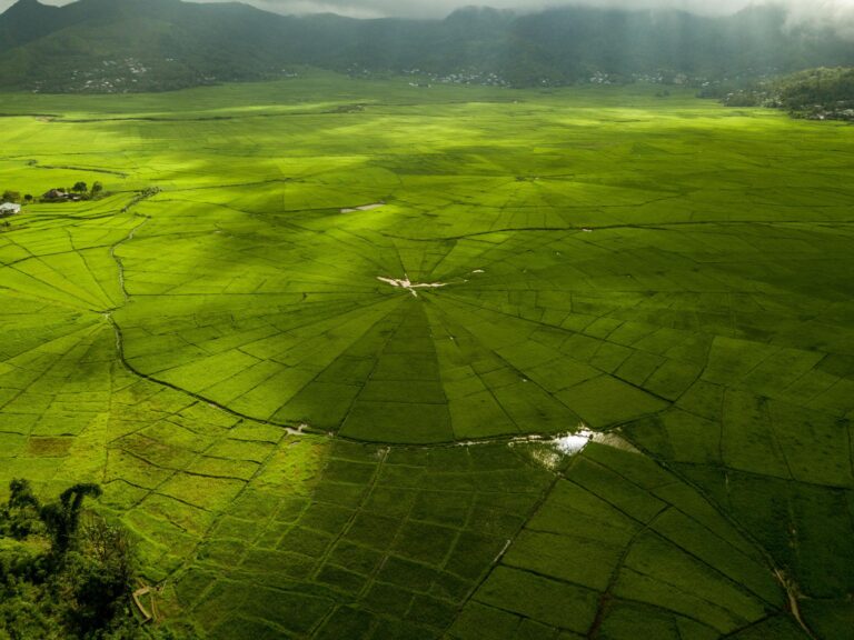 Sawah Lingko Cancar